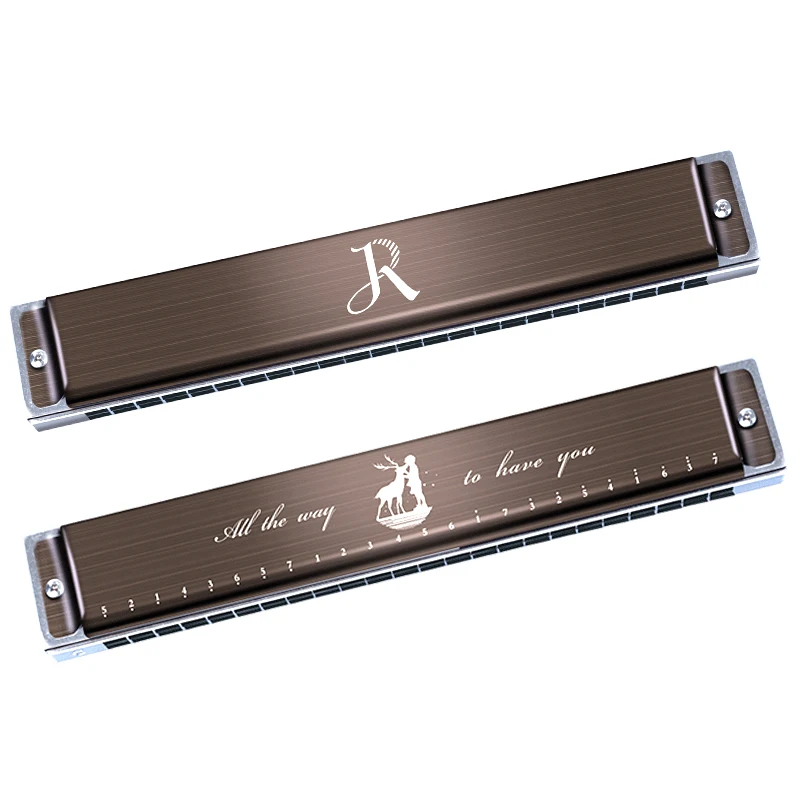
24 hole harmonica fashionable design tremolo model 