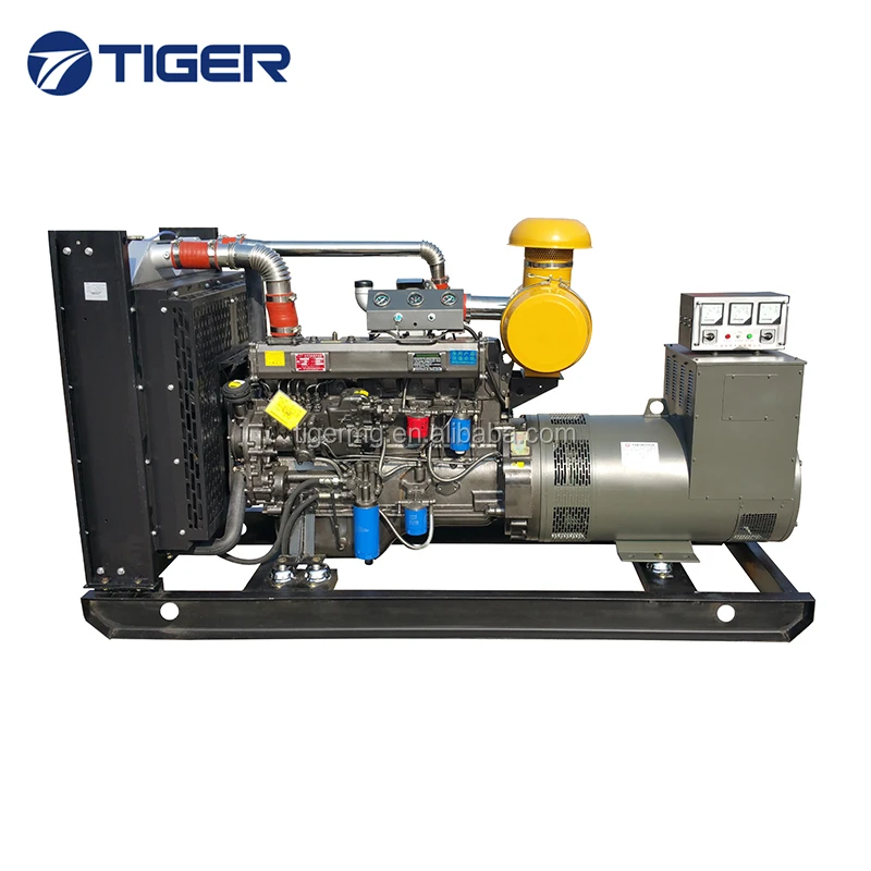 10kw to 1000kw good price durable thunder diesel generator
