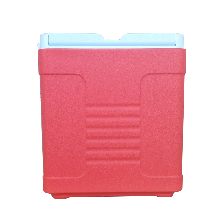 Portable cooler box with handle for camping, picnic, outdoor Ice chest