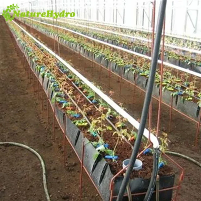 Hydroponics Greenhouse agricultural greenhouse Growing Trough PP rolls
