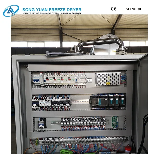 
china Freeze Dryer Machine, Vacuum Lyophilizer for food, medicines, biological, factory price scientific freeze dryer GZL-2 