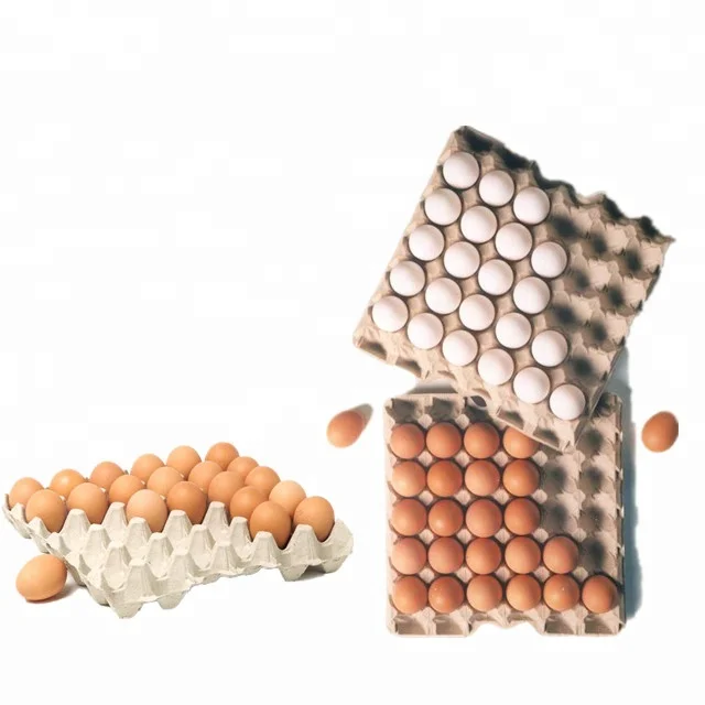 
full automatic paper recycling machine for disposable industrial packages and medical care pulp tray product making machine 