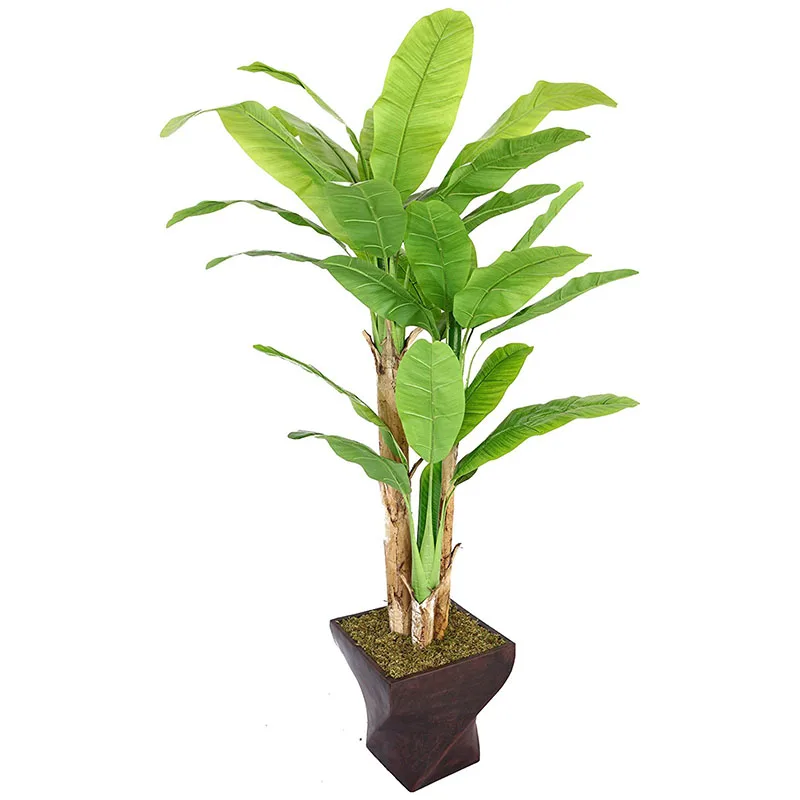 silk vision flowers wholesale banana tissue culture plants