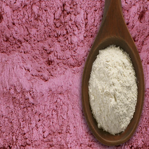 Оптовая цена поставщик Обезвоженного белого лукового порошка