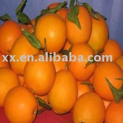 NAVEL ORANGE