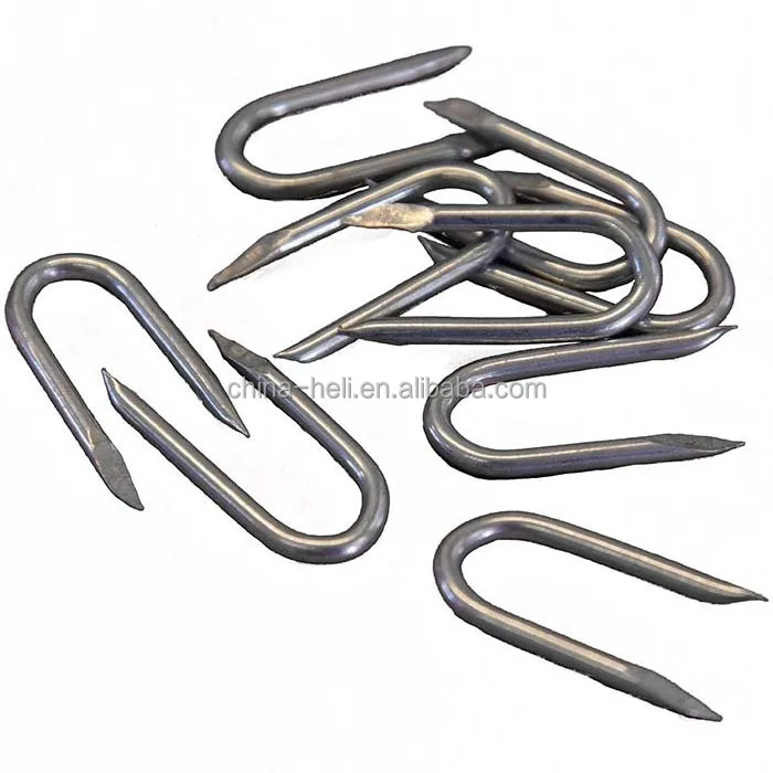 Galvanised U nail wire fence staples