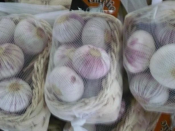 Fresh Solo garlic single clove garlic factory directly supply