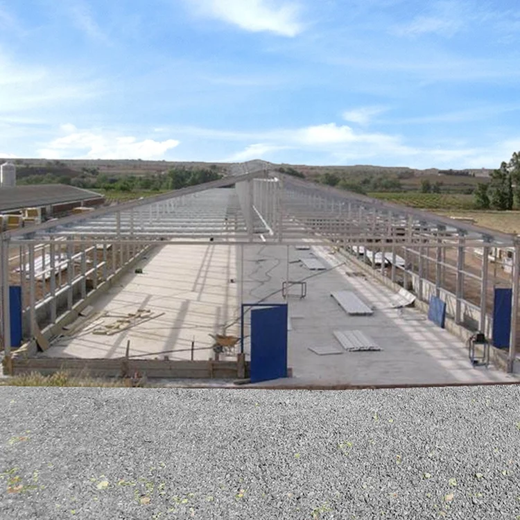 2024 Hot Selling prefab steel building automatic chicken house with egg cage