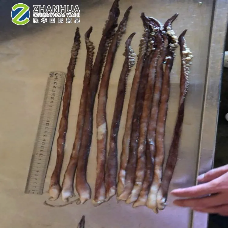 Frozen Tentacles Of Squid Frozen Squid Tentacles For Sale Fresh Frozen Squid Tentacles For Sale