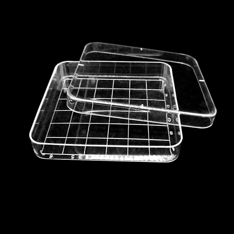 
Sterilized Plastic Disposable Square Petri Dish 100*100mm  (62188666215)