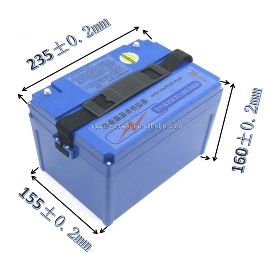 Powerful Lithium Battery 60V 50Ah 40Ah 20Ah Li Ion Battery Pack For Electric Scooter Citycoco