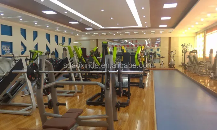 New Arrival! 2016 newest indoor sports equipment for gym bodybuilding