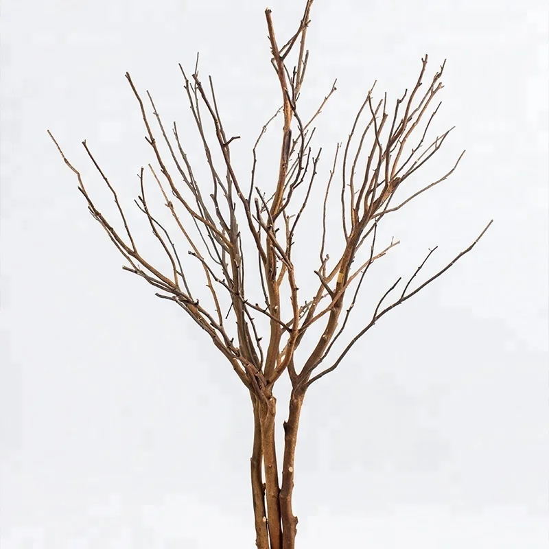 For wedding decoration dry tree coral branches manzanita white tree branches for decorating artificial outdoor dead tree