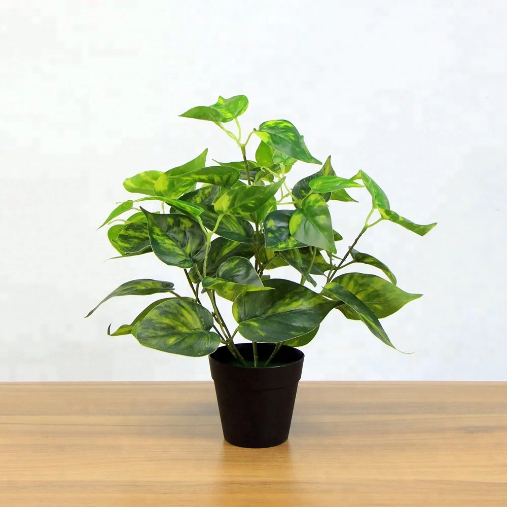 Most beautiful look real heart shaped artificial floor plants with pot