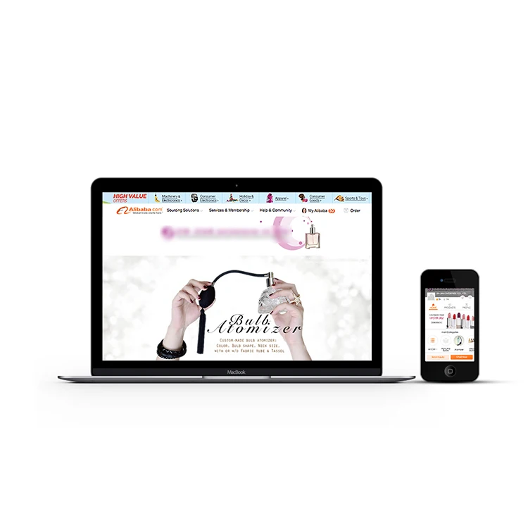 
Alibaba Mini Site Web Page Designing 