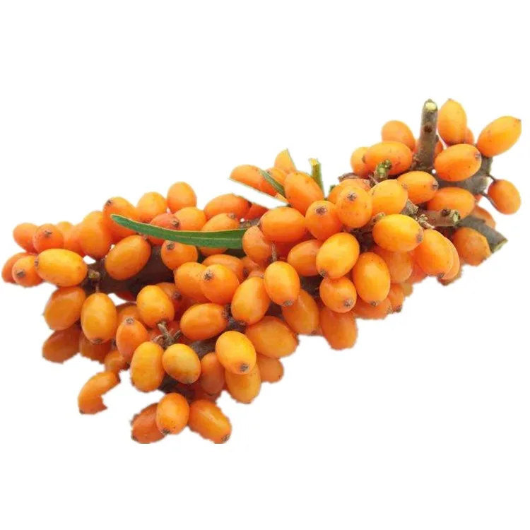 Factory Supply 100% Pure Sea Buckthorn  Oil