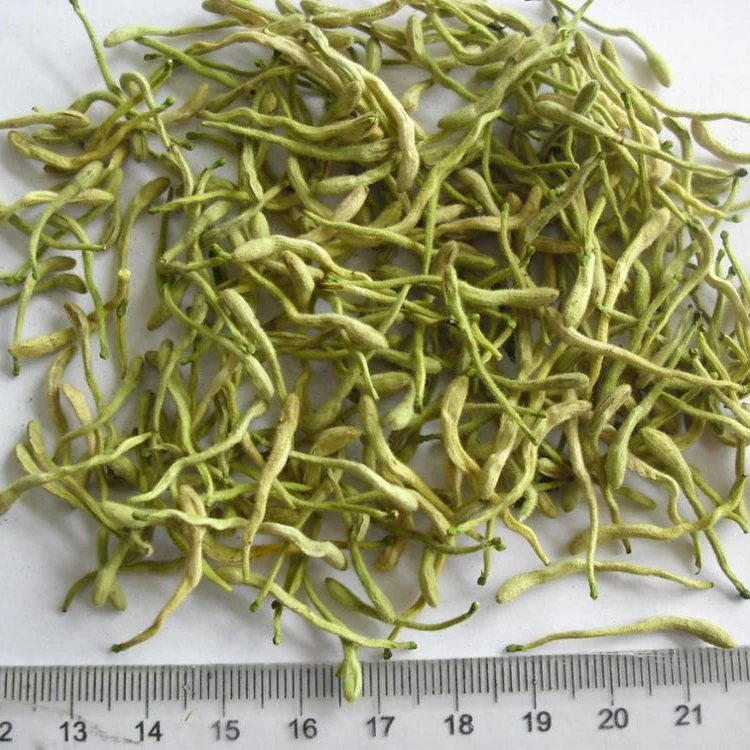 
Honeysuckle Flower Jin Yiinhua 