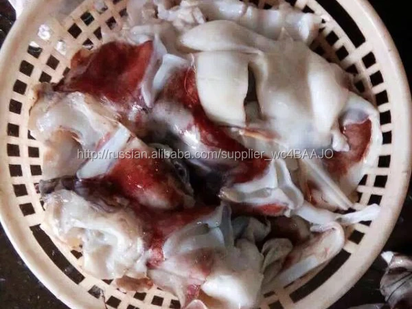 Замороженные гигант Перу squid шеи сырье squid шеи