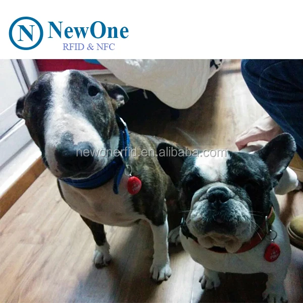
Free samples epoxy waterproof nfc pet id collar tag with Unique QR code epoxy nfc tag 