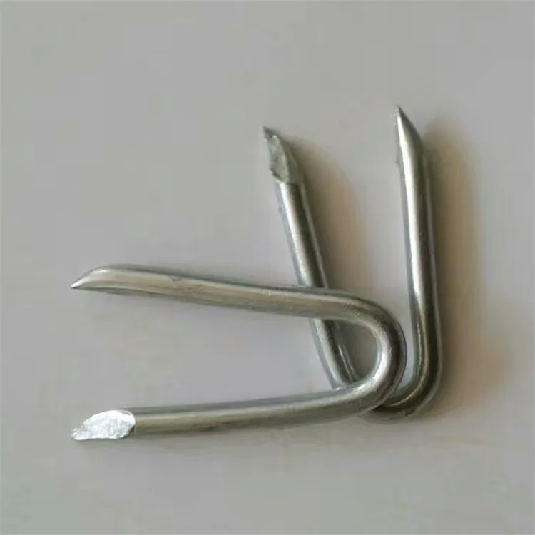 Electro Galvanized U Shape Nails Used with Barbed Wire