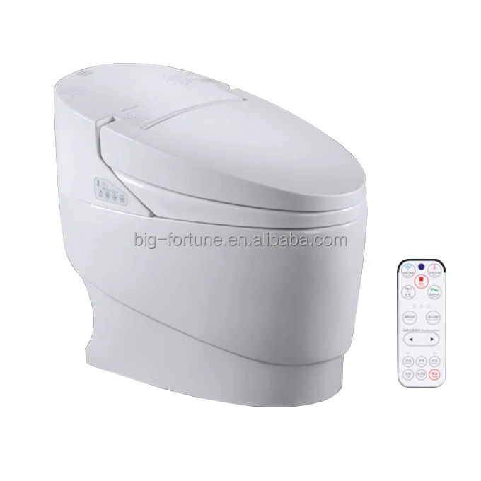 toilet built-in bidet japanese toilet combination toilet bidet