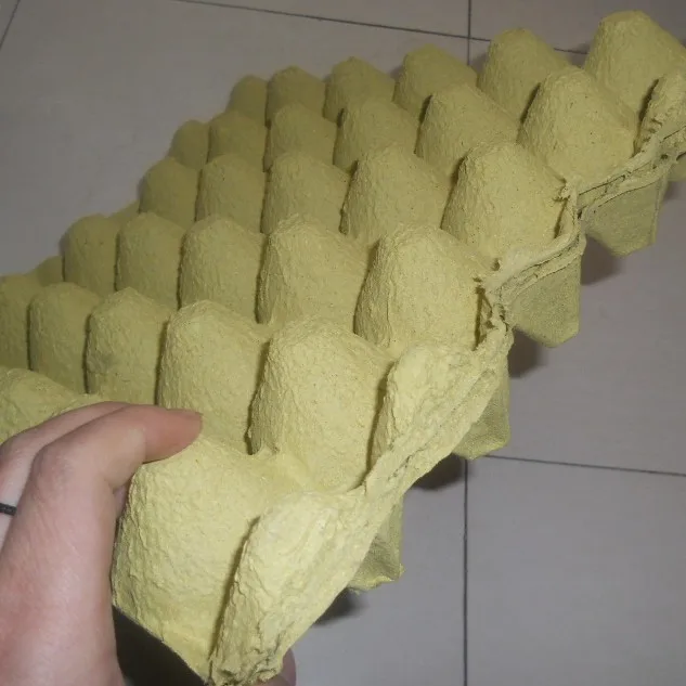 Egg Tray Pulp Packaging