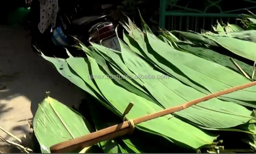Dry Bamboo leaves for cake from Vietnam, dry bamboo leaf good price, bamboo leaf best quality contact wechat +84963818434