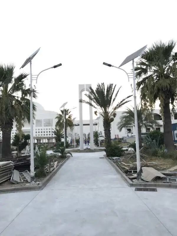 Smart Cheap Solar Street Light&Lights With Pole