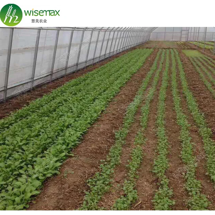 Горячая Распродажа, заводская цена, тоннель для пластиковой пленки, коммерческий зеленый дом