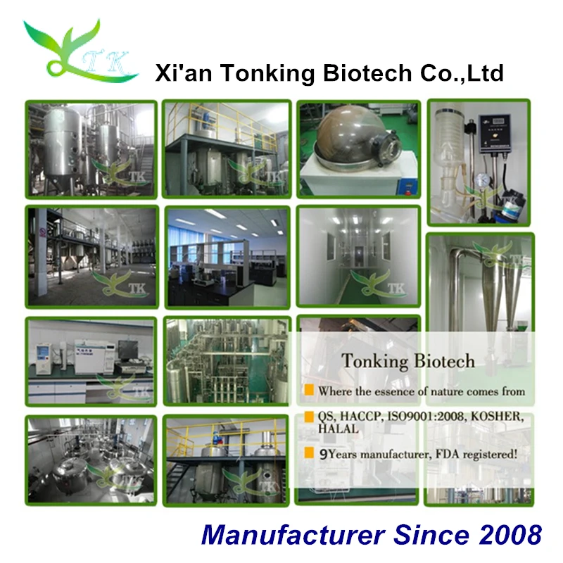 
Top Ecdysterone/Ecdysone/Molting Hormone 