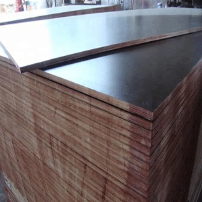 Hardwood Eucalyptus Black Film Faced Plywood