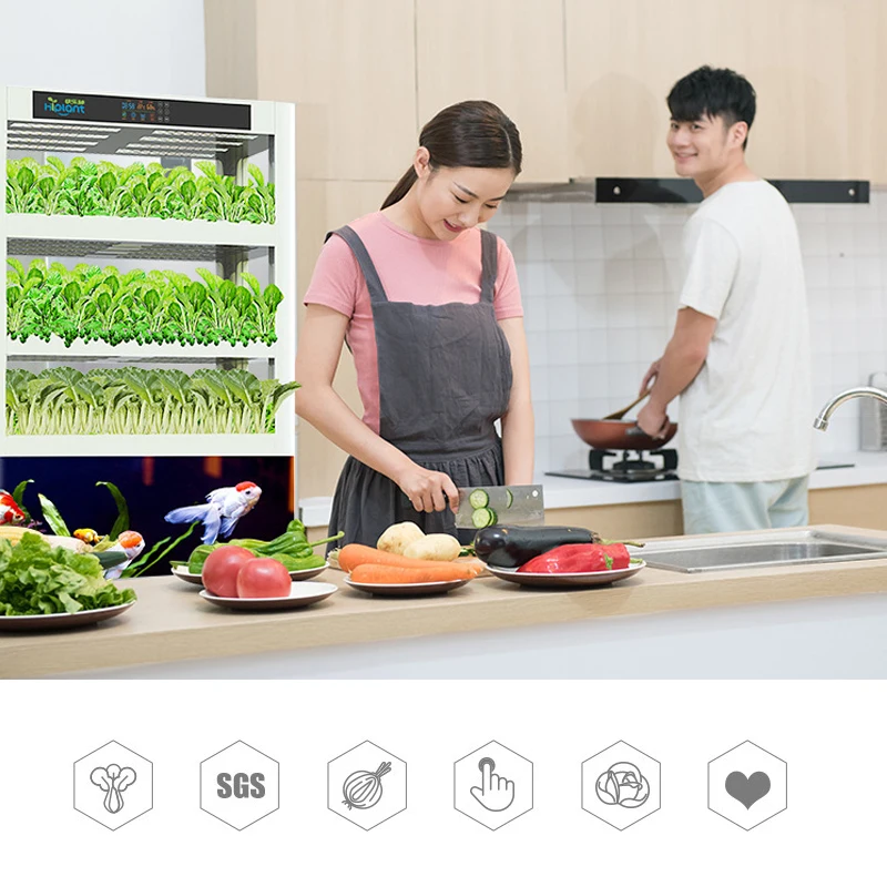  Новые идеи продукции 2019 Интеллектуальный инвентарь коммерческие системы выращивания аквапонных
