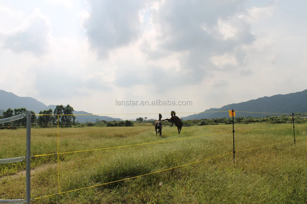 2015 Hot Sale Electric Poultry equipments, Portable Power fence system, Solar Panel Electric Fence Energizer from China