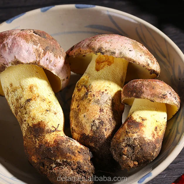
Detan Dried Sliced Boletus Wild Mushroom Prices 