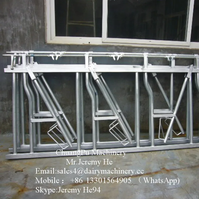 Hot-galvanized Steel Headlock for Cow/Goat /Sheep Dairy Farm