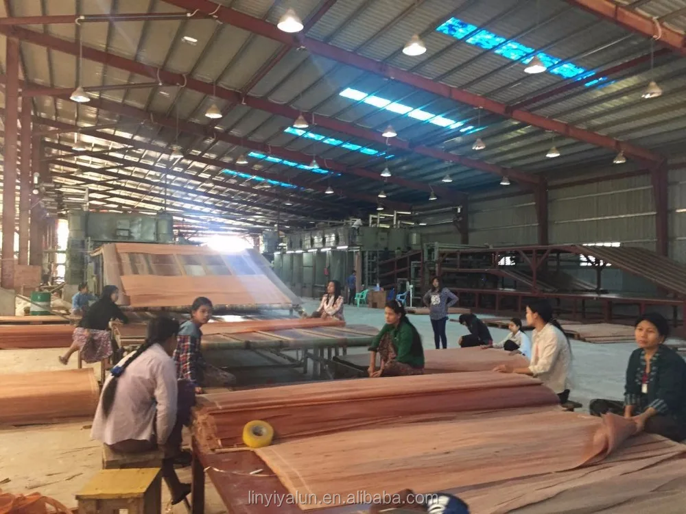 keruing wood veneer and gurjan face veneer for india market