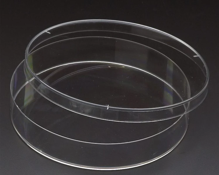 
medical laboratory glassware lab petri dish 