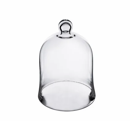 Glass Cloche Bell Jar Plant Terrarium Cloche Opening Bell Jar Glass Display Dome Cloche