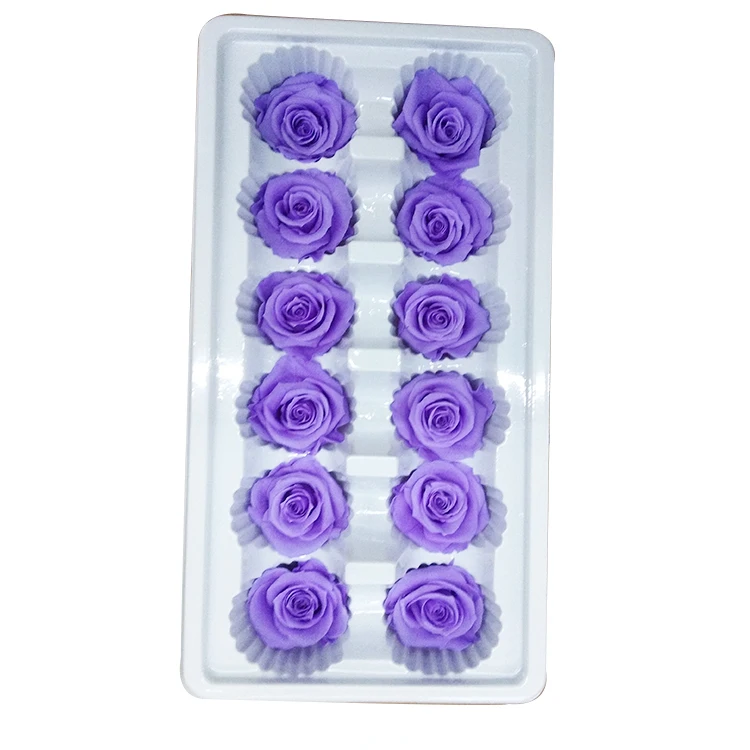 
Scientific Names of Flower Longlife Roses Preserved Roses discount 