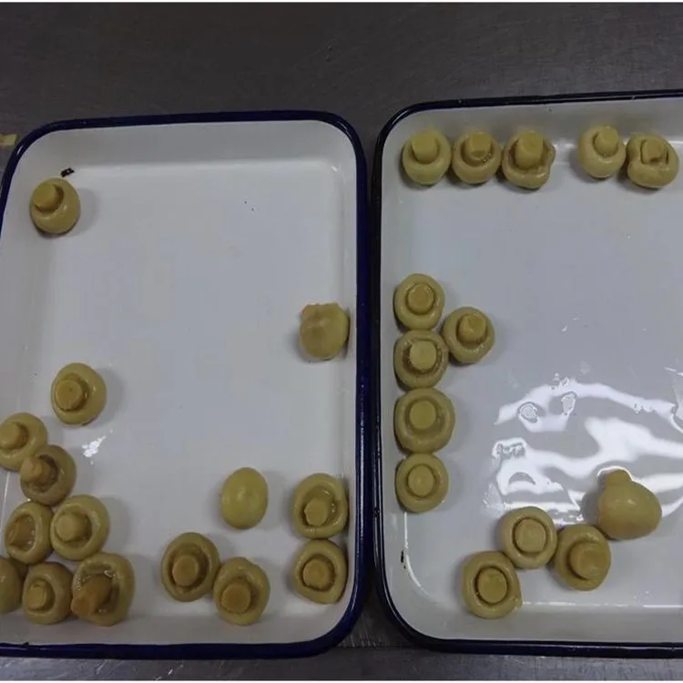 High quality  canned mushrooms champignon wholes