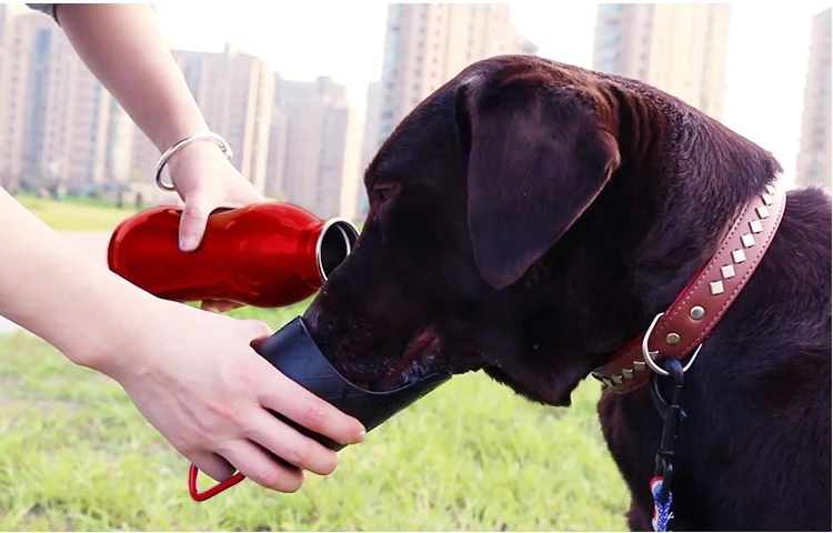 
300 600 750ml Stainless Steel Outdoor Travel Portable Pet Dog Drinking Water Bottle 
