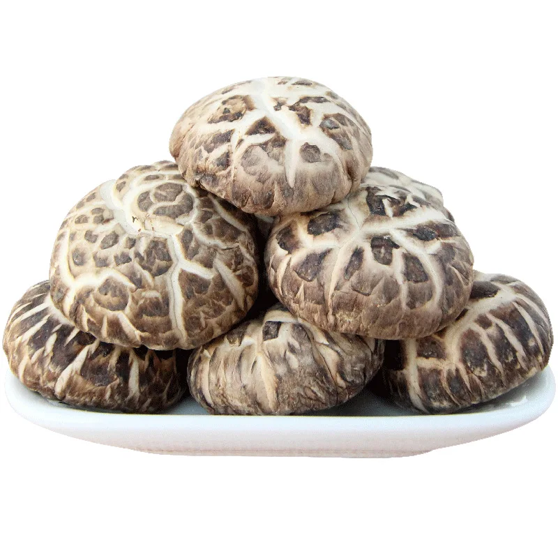 Экспорт цветов Shiitake, гриб, высушенный из свежего сырья