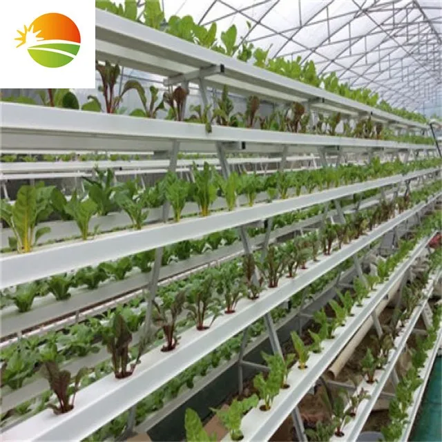 
Commercial multi-span PC sheet polycarbonate greenhouse with hydroponic system 