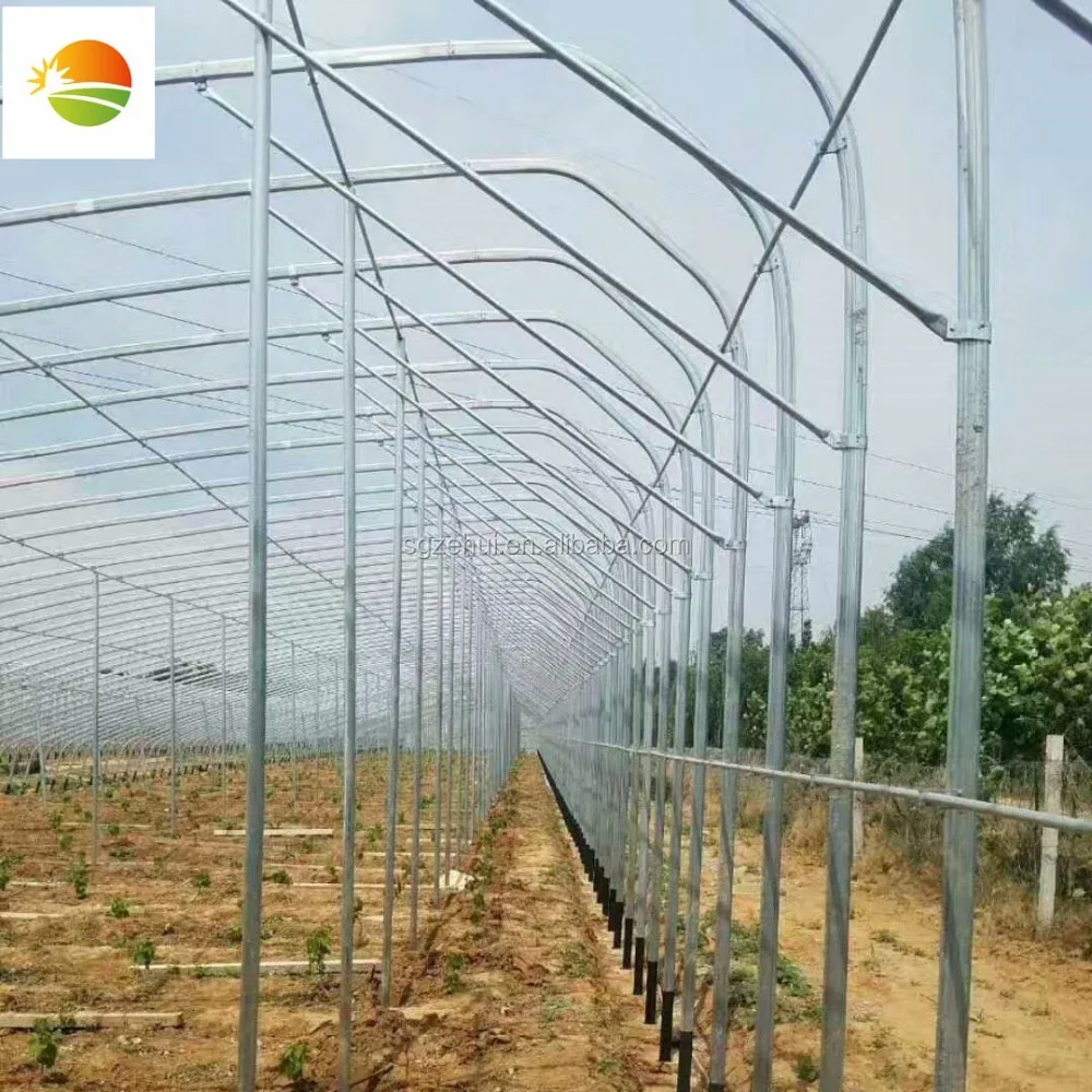 
hot galvanized steel arch pipes greenhouse 