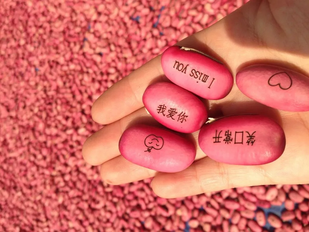 QQ20141118134523