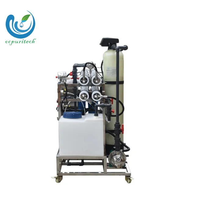 
200 Lph Small Capacity Seawater Desalination Plant Water Treatment Equipment CNP 220v/50hz CE Certificate Optional Brand 32% 98% 