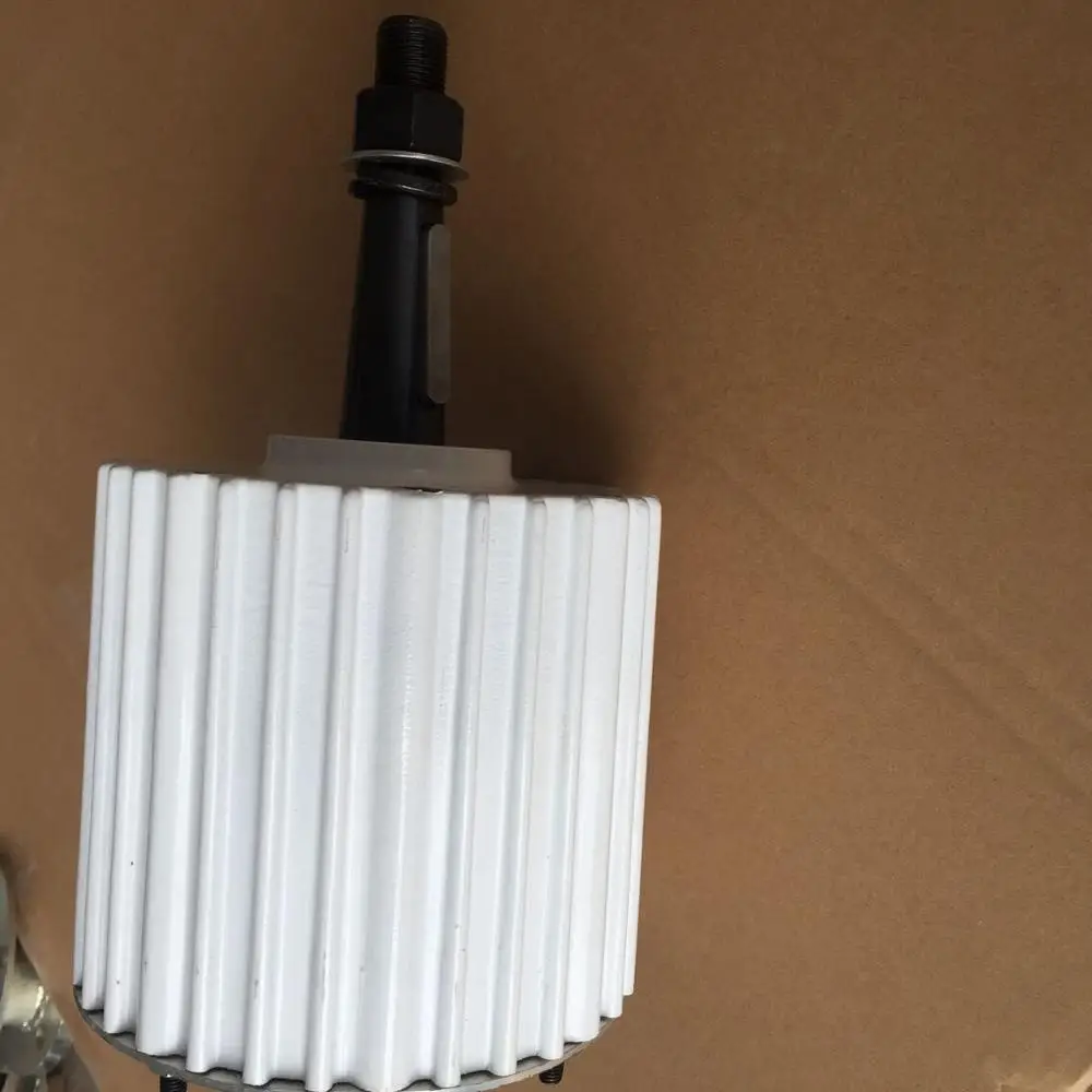 Brushless 2kw Axial flux Permanent Magnet synchronous Generator Price