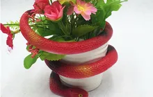 HTB1UP_3KXXXXXcCXXXXq6xXFXXXl