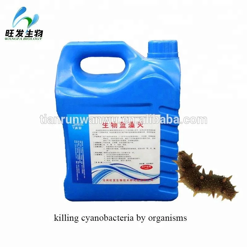 promotional aquaculture probiotics products for water purification