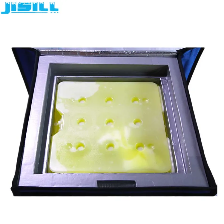 Medicine Transport Use Freezer Cooler Box For Effective Temperature Control